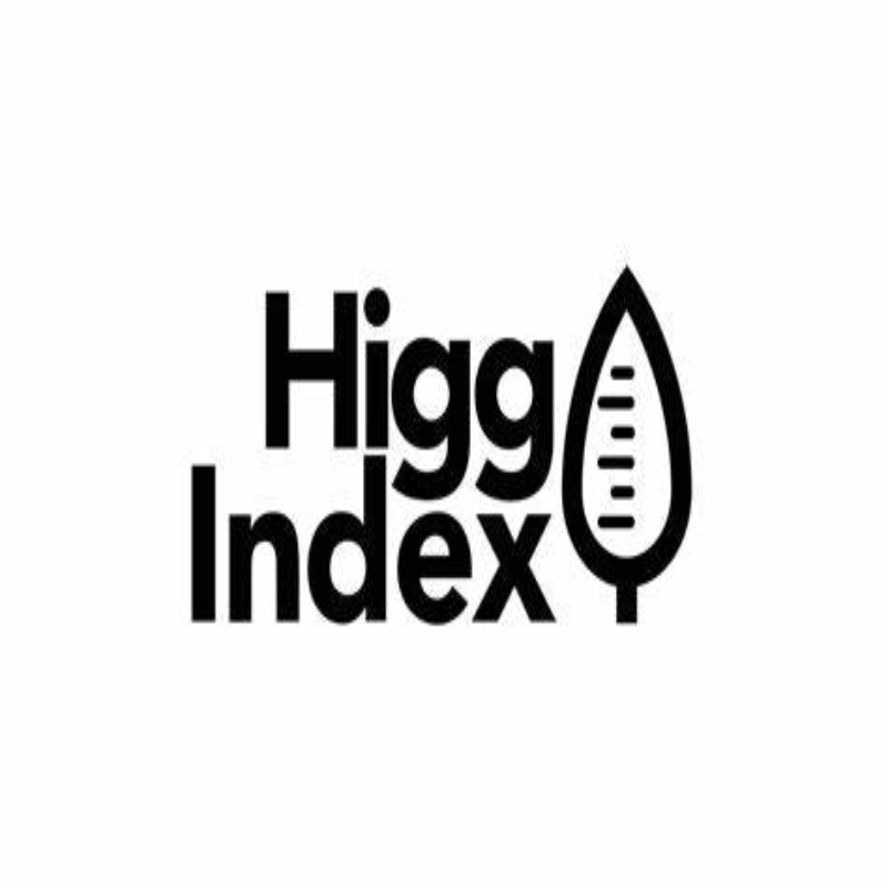 Higg index